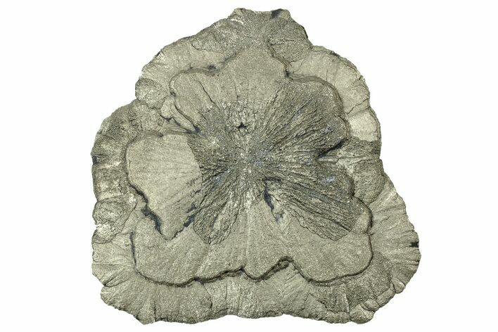 Pyrite Sun - Sparta, Illinois #315991